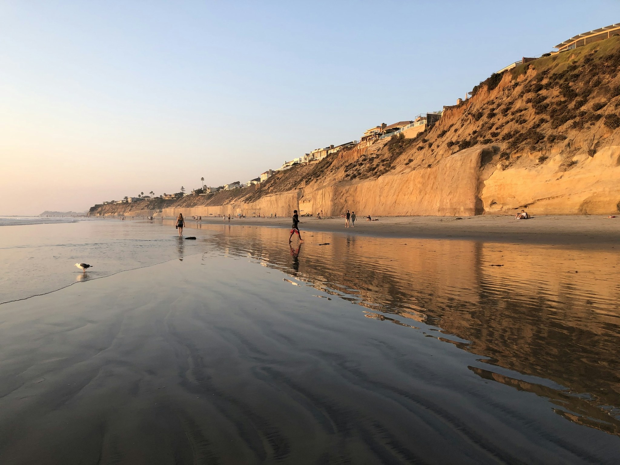 Golden light on the coastal bluffs and wet sand at Solana Beach; photo published August 1, 2022.