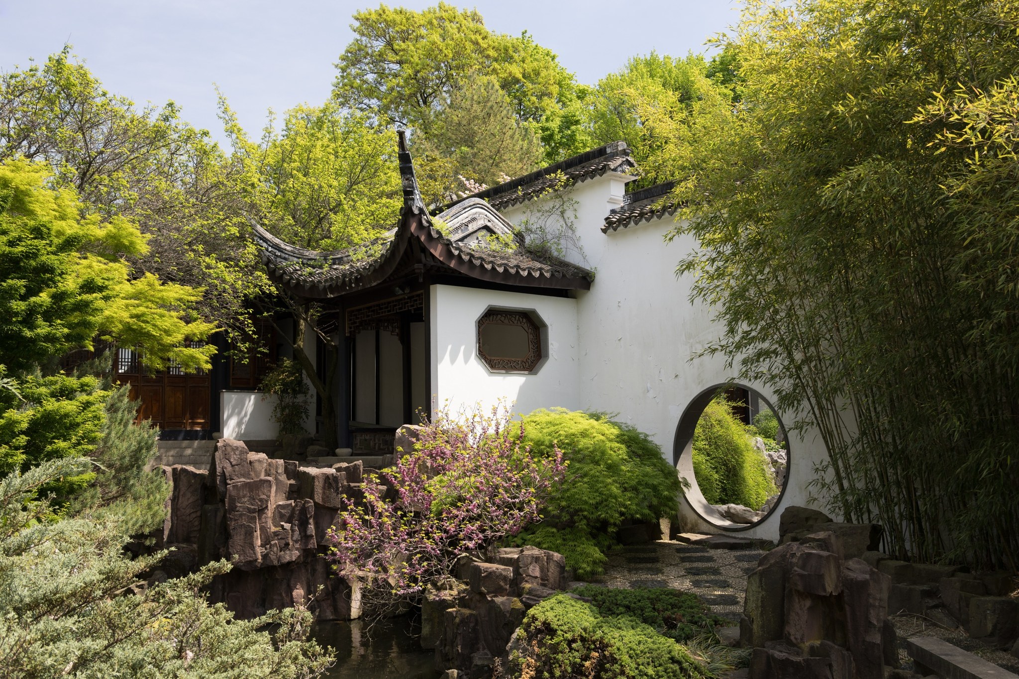 New York Chinese Scholar’s Garden at Snug Harbor on Staten Island, photographed May 1, 2025.