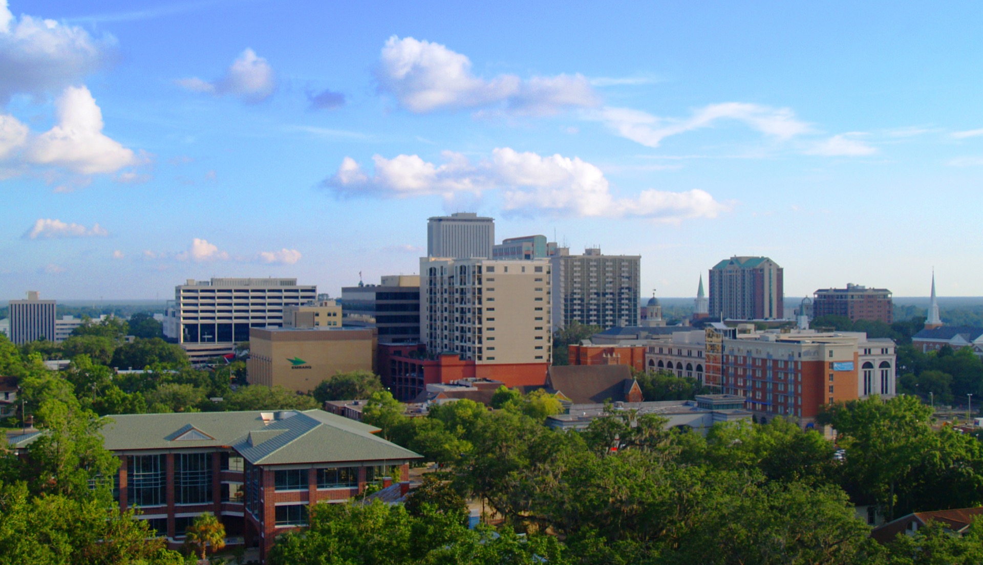 Tallahassee city view