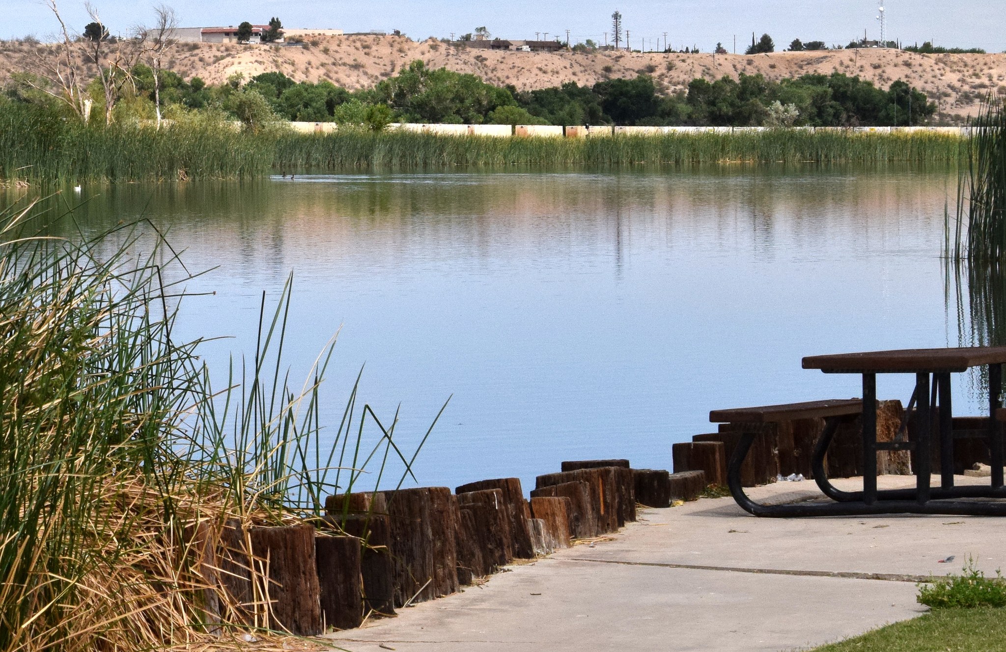 A lakeside picnic spot at Mojave Narrows Regional Park in Victorville
